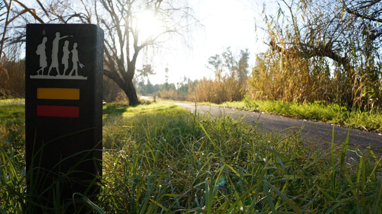 Forest Terrace プライア・デ・ミラ エクステリア 写真