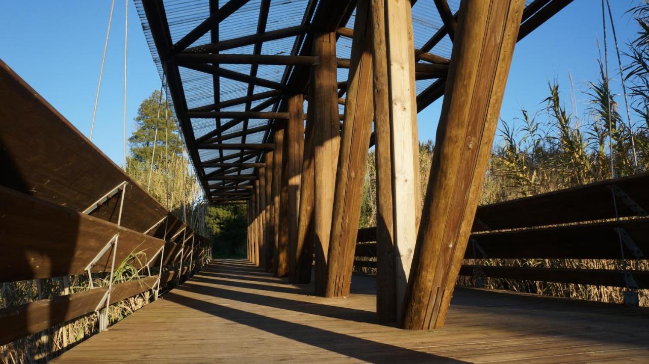 Forest Terrace プライア・デ・ミラ エクステリア 写真
