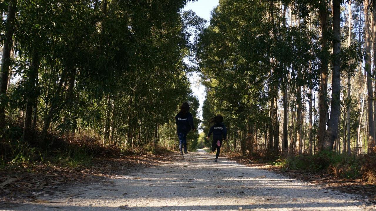 Forest Terrace プライア・デ・ミラ エクステリア 写真
